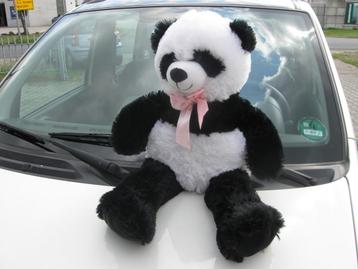 Mooie!! Panda 1.2 Edizione Cool, 111.915 Km, NL Auto!! beschikbaar voor biedingen