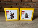 Lego Set 6432433 6432430 Dragon & Pirate Adventure Ride GWP, Ophalen of Verzenden, Nieuw, Complete set, Lego