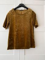 Mosterd geel/ goud velvet shirt van Expresso, Expresso, Geel, Ophalen of Verzenden, Korte mouw