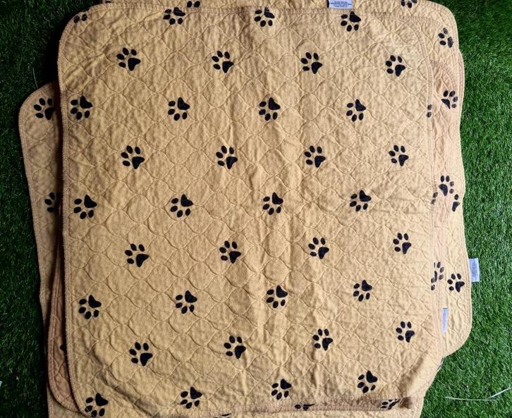 Cavia bodembedekking kooi, Dieren en Toebehoren, Knaagdieren en Konijnen | Hokken en Kooien, Gebruikt, Hok, Minder dan 60 cm, Cavia