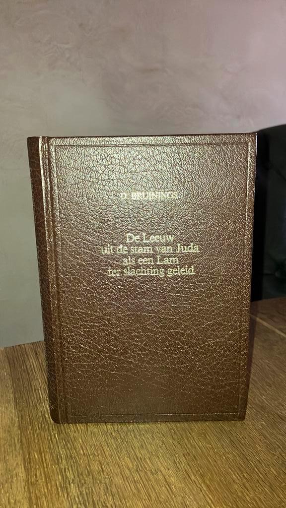 KR— D Bruinings De Leeuw uit de stam van Juda, Boeken, Godsdienst en Theologie, Gelezen, Ophalen of Verzenden
