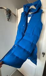 Gold & Silver , kobalt blauwe bodywarmer, 36/38, nieuw, Blauw, Gold & Silver, Nieuw, Ophalen of Verzenden