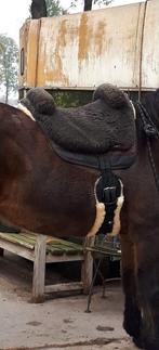 Christ bareback Iberica/ ruilen, Dieren en Toebehoren, Ophalen, Gebruikt, Overige soorten