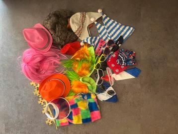 Carnavalskleding: Pruik, Bril, schort, Hoed - mag per stuk! beschikbaar voor biedingen