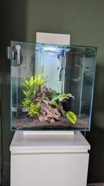 Fluvial edge 46L aquarium, Dieren en Toebehoren, Vissen | Aquaria en Toebehoren, Ophalen, Gevuld zoetwateraquarium