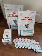 Royal Canin kat droog- en natvoer Skin & Coat, Ophalen of Verzenden, Kat