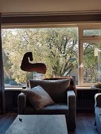 Paard van metaal, Ophalen of Verzenden, Hondenjas