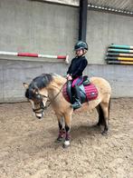 Fantastische kinderpony/bixie pony, Dieren en Toebehoren, Pony's, Merrie