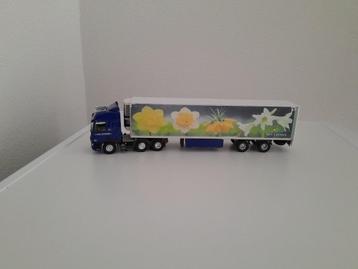 Daf cf van Dooren Transport met W.F Leenen koeltrailer . beschikbaar voor biedingen