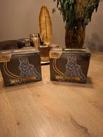 Mega Evolutions ETB Lucardio - English Pokémon, Hobby en Vrije tijd, Verzamelkaartspellen | Pokémon, Ophalen of Verzenden, Nieuw