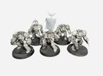 Warhammer 40K Space Marine Terminators, Warhammer, Ophalen of Verzenden, Zo goed als nieuw, .