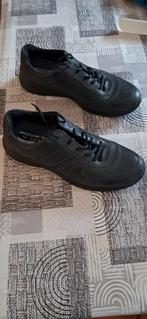 Ecco schoenen maat 43, Ophalen