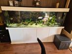 Aquarium  200 cm lang, Dieren en Toebehoren, Vissen | Aquaria en Toebehoren, Zo goed als nieuw, Ophalen