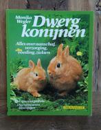 Dwerg konijnen Monica Wegler, Boeken, Dieren en Huisdieren, Gelezen, Ophalen of Verzenden, Monika Wegler, Konijnen of Knaagdieren