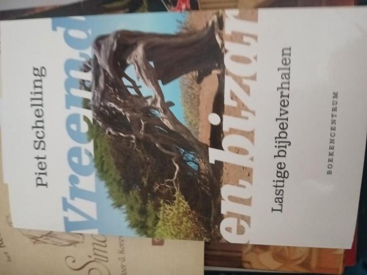 Piet Schelling - Vreemd en bizar, Boeken, Godsdienst en Theologie, Ophalen of Verzenden