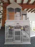 Vogelkooi decoratieve houten antiek brocante, Ophalen