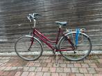 Marathon Sparta Ithaka Damesfiets, Ophalen, Sparta, Versnellingen, 53 tot 56 cm