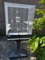 Grote vogelkooi, Dieren en Toebehoren, Ophalen, Zo goed als nieuw, Metaal, Vogelkooi