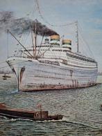 ss Nieuw Amsterdam repro tekening P vd Doel., Verzamelen, Scheepvaart, Ophalen of Verzenden, Zo goed als nieuw, Motorboot, Kaart, Foto of Prent