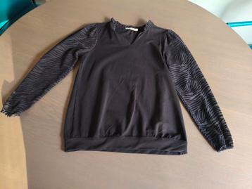 Dreamstar shirt maat S beschikbaar voor biedingen