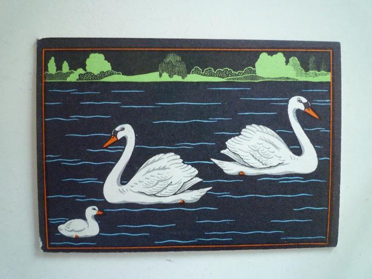 Heel veel kaarten met zwaan zwanen met jongen vogels (2), Verzamelen, Ansichtkaarten | Dieren, Voor 1920, Vogel, Ophalen of Verzenden