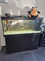 Aquarium 450 Liter met toebehoren, Dieren en Toebehoren, Vissen | Aquaria en Toebehoren, Ophalen, Leeg aquarium