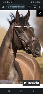 Hoofdstel Premiera, Dieren en Toebehoren, Paarden en Pony's | Hoofdstellen en Tuigage, Ophalen of Verzenden