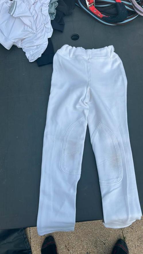 Verschillende (wedstrijd) paardrijkleren, Dieren en Toebehoren, Paardrijkleding, Gebruikt, Overige typen, Overige soorten, Ophalen of Verzenden