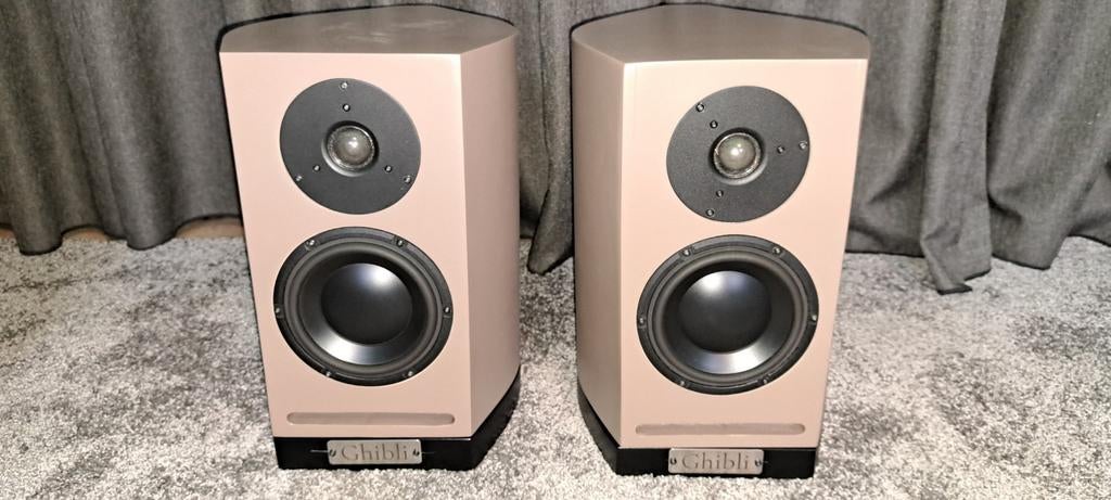 Sonus faber stijl Boekenplank Speakers met Morel drivers, Ophalen, Gebruikt, Front, Rear of Stereo speakers, Overige merken