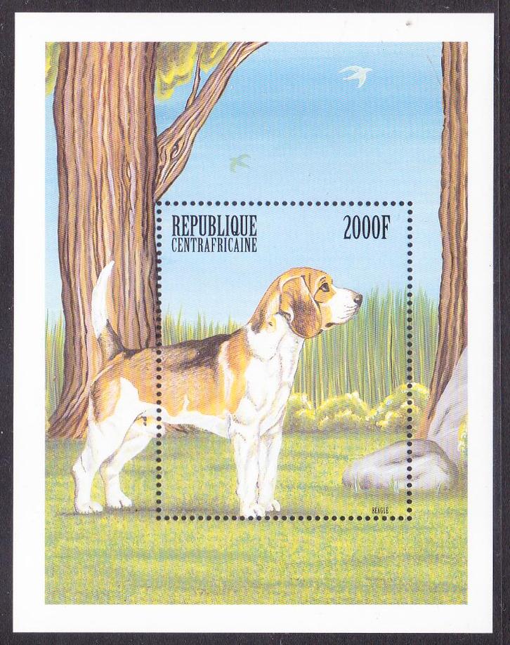Centraal Afrikaanse Rep. 1999 pf mi 2326 block 628 hond, Postzegels en Munten, Postzegels | Thematische zegels, Postfris, Dier of Natuur