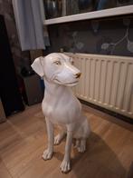 Decoratief beeld van een hond - wit met goudaccenten, Ophalen of Verzenden