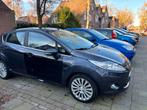 Ford Fiësta 1.25 60KW 5DR 2010 Grijs, Auto's, Voorwielaandrijving, 600 kg, 1242 cc, Origineel Nederlands