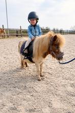 Te koop: lieve knuffel- bixie - shetlander Dorenroosje, Dieren en Toebehoren, Zadelmak, A pony (tot 1.17m), 3 tot 6 jaar, Recreatiepony