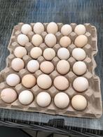 56 kriel eieren voor consumptie, Ophalen of Verzenden