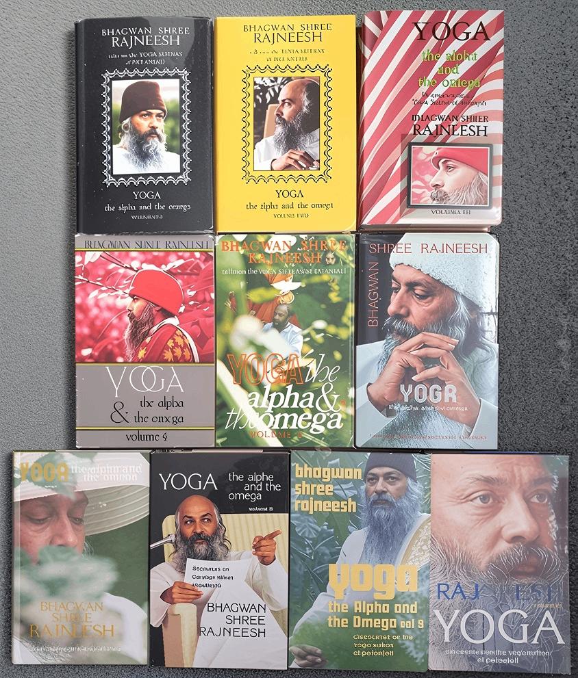 Uitverkoop. Veel Osho boeken en vreemde EU talen, Ophalen of Verzenden, Gelezen, Bhagwan Rajneesh Osho