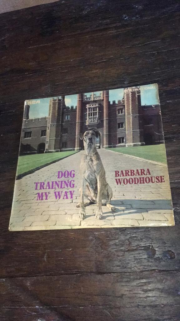 Dog training, Ophalen of Verzenden, Gebruikt, Overige formaten