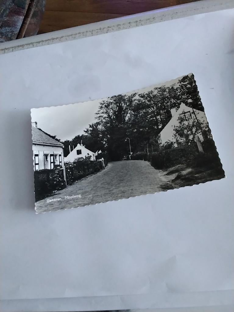 RENESSE. MOOLWEG, Verzamelen, Ansichtkaarten | Nederland, Ophalen of Verzenden, Voor 1920, Zuid-Holland