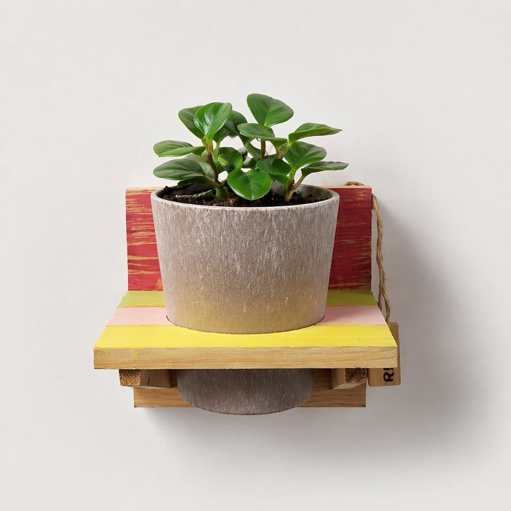 Partij houten wandrekken met Artstone pot 125652, NHP International, Minder dan 30 cm, Minder dan 60 cm, Ophalen of Verzenden