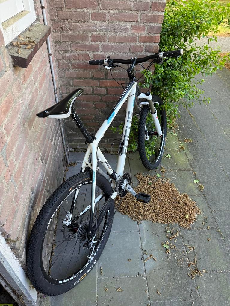 Focus Carbon Raven Mountainbike -, Fietsen en Brommers, Fietsen | Mountainbikes en ATB, Gebruikt, Overige merken, Hardtail, Ophalen