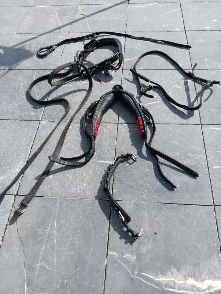 Mentuig pony of paard, Dieren en Toebehoren, Paarden en Pony's | Hoofdstellen en Tuigage, Ophalen of Verzenden, Overige soorten