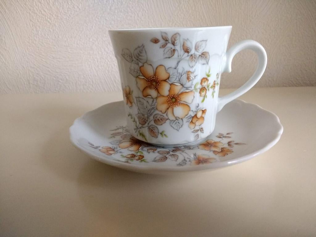 kop en schotel Bavaria Tirschenreuth bloem lichtbruin grijs, Huis en Inrichting, Keuken | Servies, Ophalen of Verzenden, Zo goed als nieuw