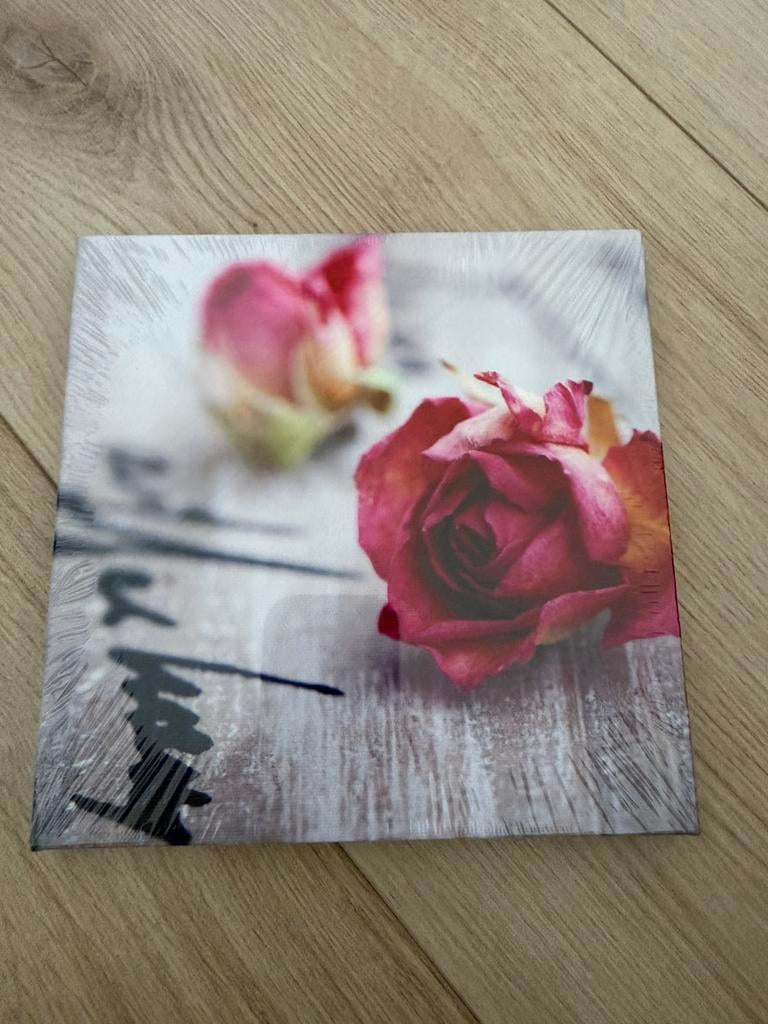 Canvas Schilderij, Huis en Inrichting, Woonaccessoires | Schilderijen, Tekeningen en Foto's, Ophalen of Verzenden, Zo goed als nieuw