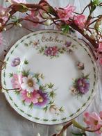 Royal Albert Oktober gebaksbordje Flower of the Month, Ophalen of Verzenden