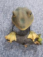 Kikker voor in de vijver., Ophalen of Verzenden, Nieuw