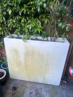 Grote witte rechthoekige plantenbak, Tuin en Terras, Bloembakken en Plantenbakken, Ophalen, Kunststof, Gebruikt, Balkon