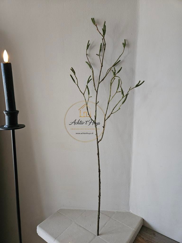 Kunst berkentak  - berk - tak - takken, Groen, Nieuw, Ophalen of Verzenden, Kunsttak