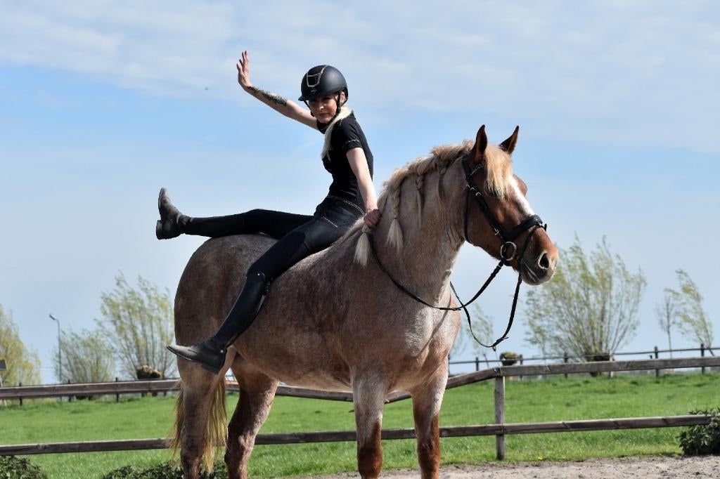 ## GEWELDIGE, super brave en prachtige ROAN ##, Dieren en Toebehoren, Merrie, Met stamboom, 3 tot 6 jaar, 160 tot 165 cm