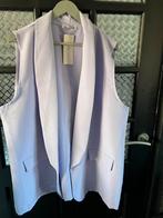 Paars hesje, Blink, Kleding | Dames, Grote Maten, Ophalen of Verzenden, Nieuw, Paars