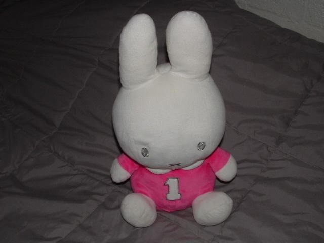 MERCIS TIAMO KONIJN NIJNTJE VAN DICK BRUNA VELOURS W, Ophalen of Verzenden, Nieuw, Overige typen