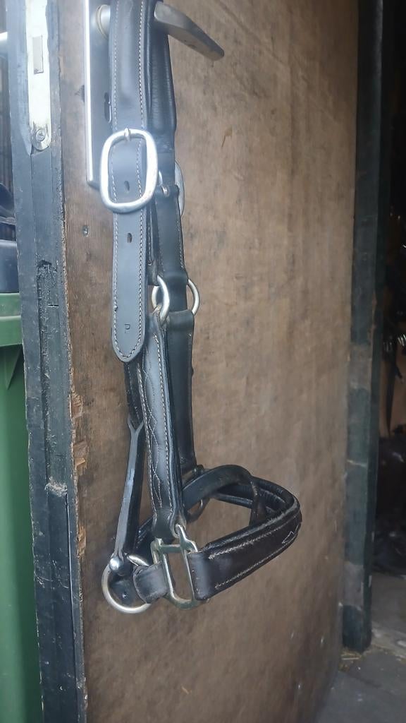 Halster leer maat pony, Dieren en Toebehoren, Ophalen of Verzenden, Overige soorten